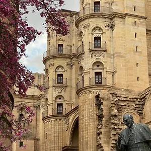 Premium - Cathedral Of , Malaga Spain